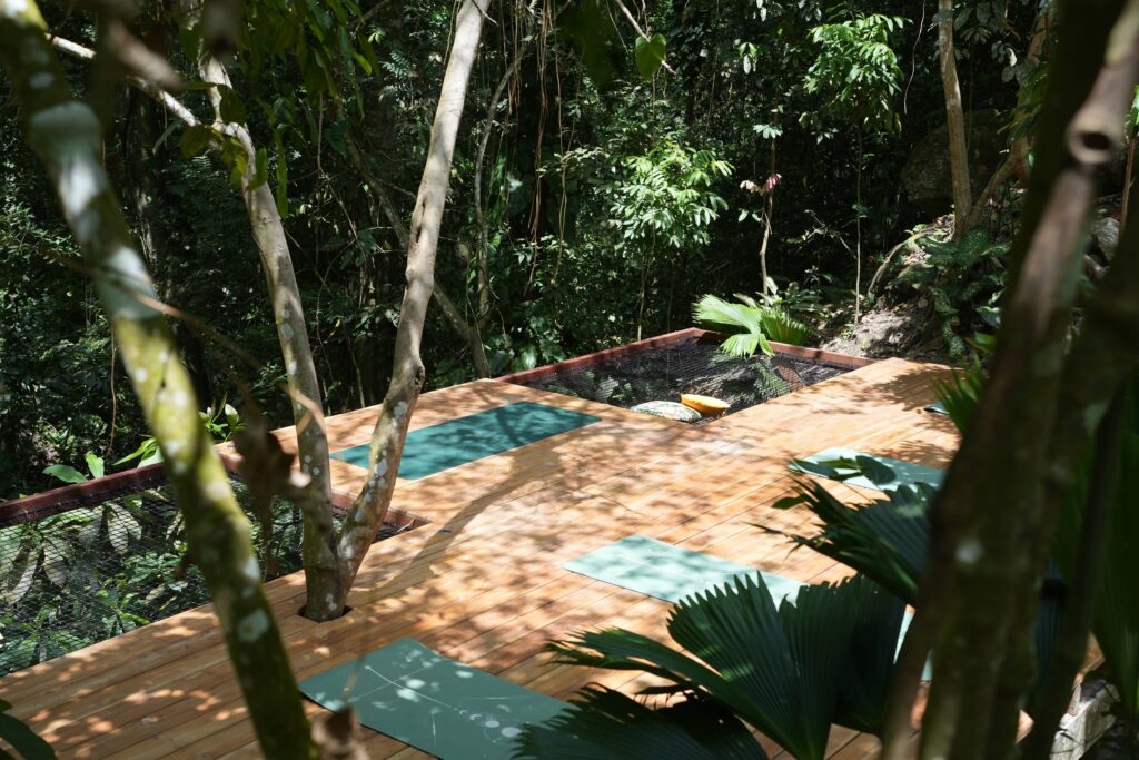 retraite de yoga au coeur da la jungle colombienne